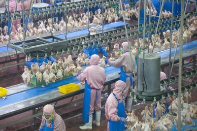 乳山預(yù)制菜企業(yè)實(shí)現(xiàn)年銷(xiāo)售額近10億元，飼料原料銷(xiāo)售雙輪驅(qū)動(dòng)