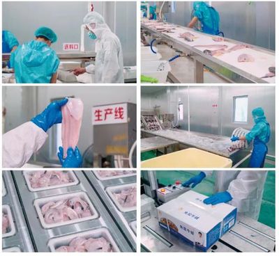 牛蛙飼料巨頭再啟新篇 年銷破10萬噸后，戰(zhàn)略布局原料銷售市場