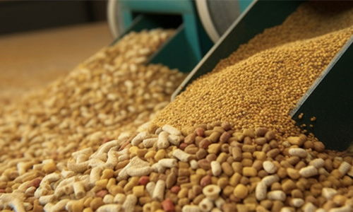 2024年豬飼料行業(yè)市場(chǎng)現(xiàn)狀、發(fā)展格局與原料銷(xiāo)售競(jìng)爭(zhēng)趨勢(shì)展望